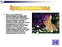 Луговые экосистемы: