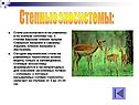 Степные экосистемы: