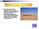 Экосистемы пустынь: