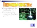 Пресноводные экосистемы: