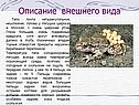 Описание внешнего вида