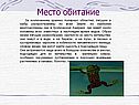 Обитание