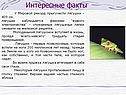 Интересные факты