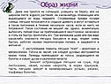 Образ жизни