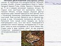Виды лягушек