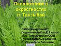 Папоротники