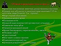 Общая характеристика отряда