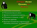 Обезьяны