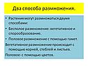 Два способа размножения