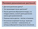 Половое размножение растений