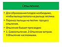 Опыление