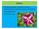 Автор