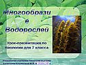 Многообразие Водорослей Урок-презентация по биологии для 7 класса