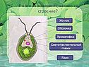 Что это за водоросль, каково её строение