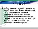 Симбиоз