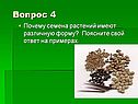 Семена растений