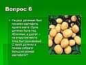 Картофель