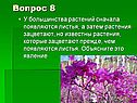 Листья