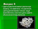 Цветки растений
