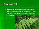 Папоротники погибли
