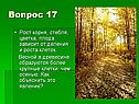 Рост корня