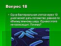 Бактериальная клетка