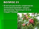 Процесс