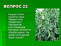 Викторина о растениях