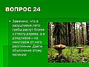 Засушливое лето