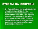 Разнообразие растений