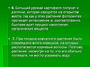 Урожай картофеля