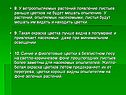 Появление листьев