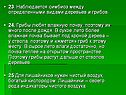 Симбиоз