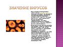 Значение вирусов