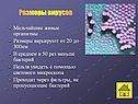 Размеры вирусов
