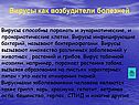 Вирусы как возбудители болезней