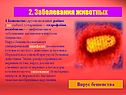 Заболевания животных