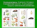 Витамины 8 класс