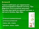 Витамин В. Тиамин необходим для нормального функционирования нервной