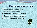 Значение витаминов