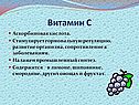 Витамин С
