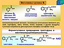 Ферментативное превращение