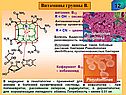 Применяют для лечения хронических анемий