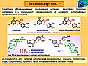 Витамины группы Р