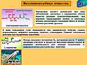 Анаболик