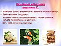 Источники витамина К
