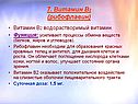 Витамин В2