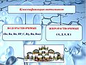 Классификация витаминов