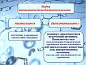 Виды витаминной недостаточности