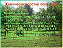 Химический состав сока алоэ